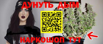 мяу мяу мука Аргун