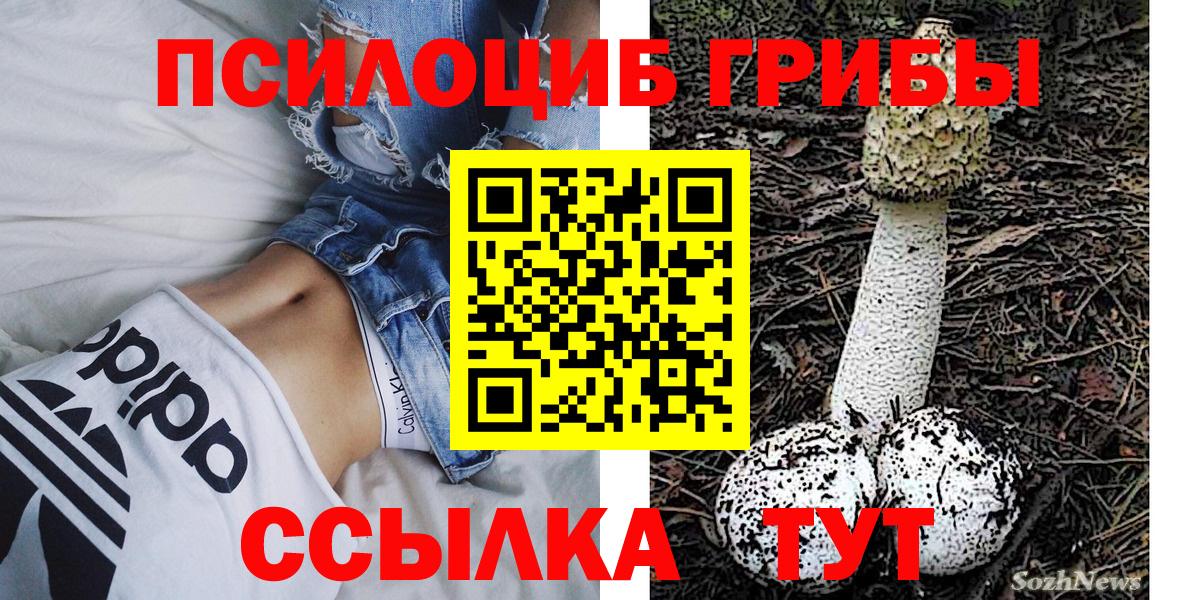 Галлюциногенные грибы Magic Shrooms  купить наркоту  Псилоцибиновые грибы прущие грибы  Владимир  Вход с VPN 